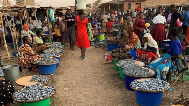 Open-air market scene with women selling small fish in large plastic basins, surrounded by a crowd of people in a village setting.